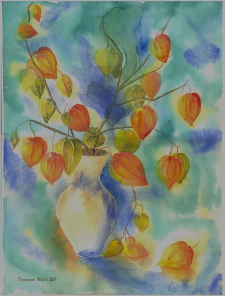 Физалис. Роберт Фальк