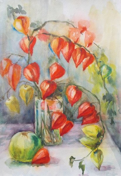 Физалис цветными карандашами