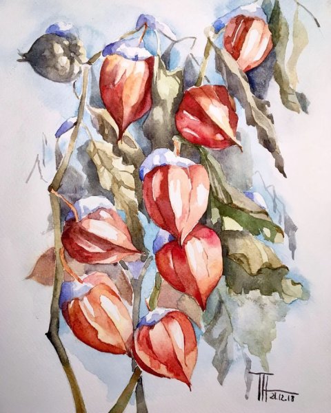 Анна Терещенкова физалис Аква