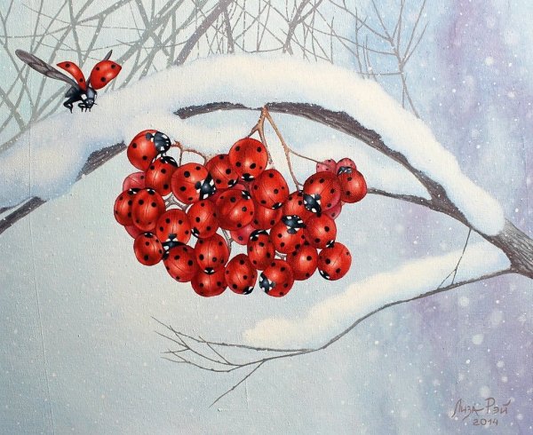 Рябина рисунок