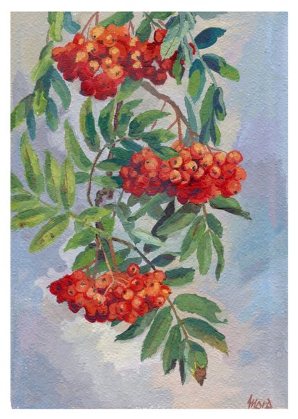 Мастер класс рябина акварелью