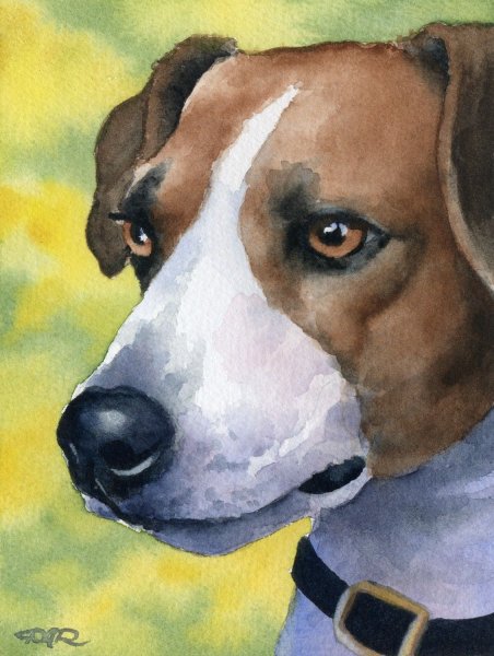 Джек Рассел красками
