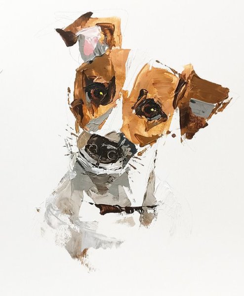 Джек-Рассел-терьер акварель