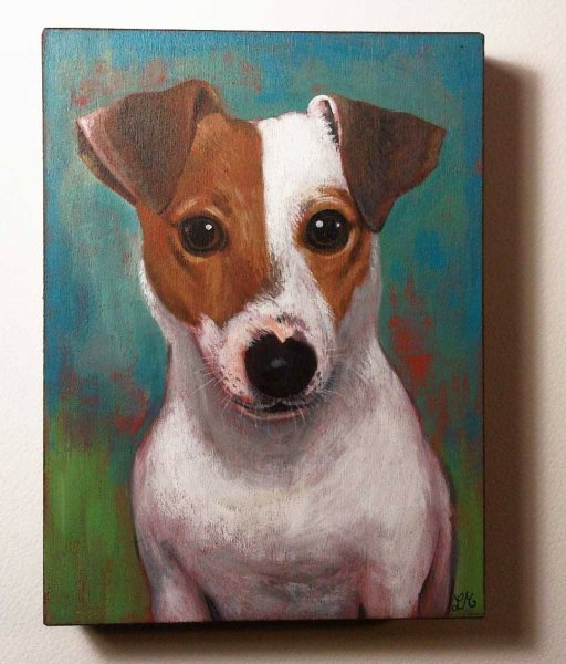 Джек Рассел портрет