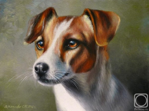 Джек-Рассел-терьер маслом