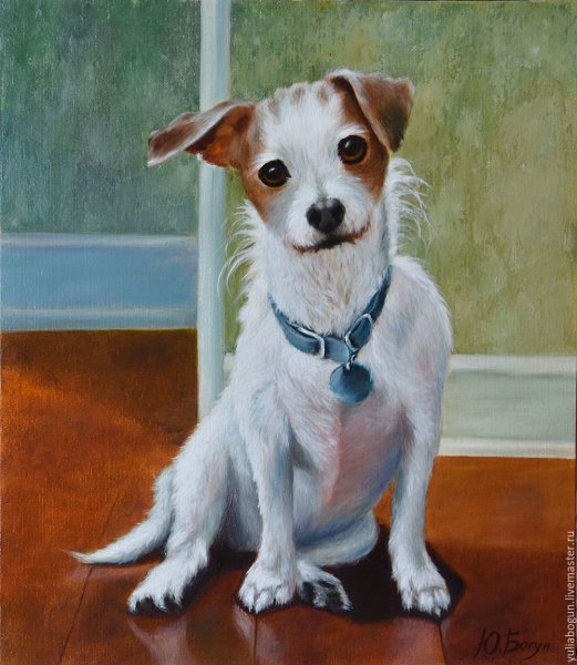 Джек-Рассел-терьер маслом