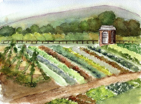 Огород акварель