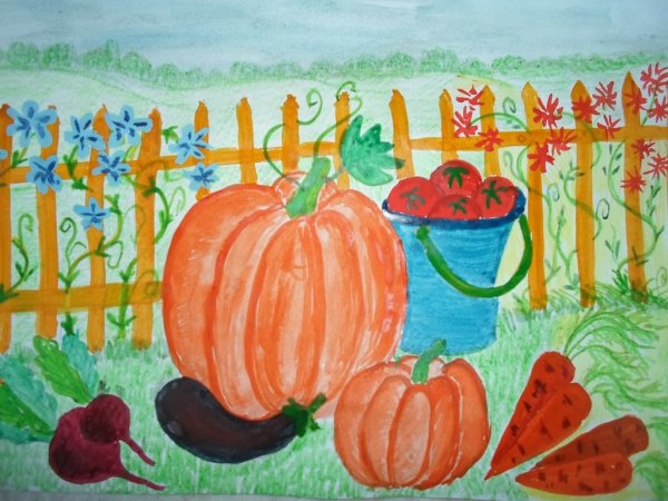 Рисование овощи на грядке