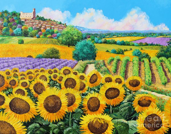 Жан Марк Жаньячик картины Подсолнухи