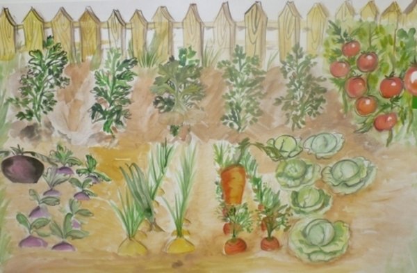 Рисование на тему огород