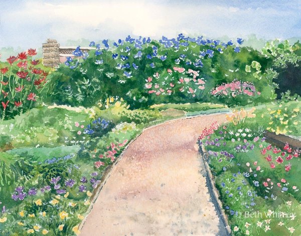 Клумба акварелью