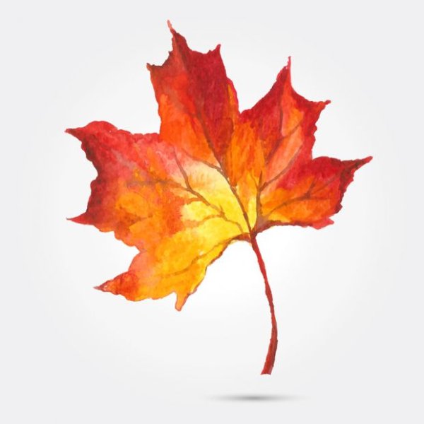 Лист клена гуашью