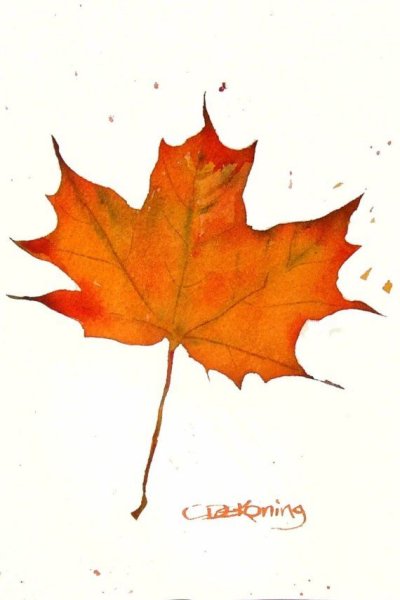 Кленовый лист рисунок красками