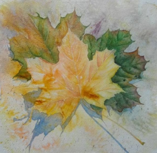 Этюды листьев