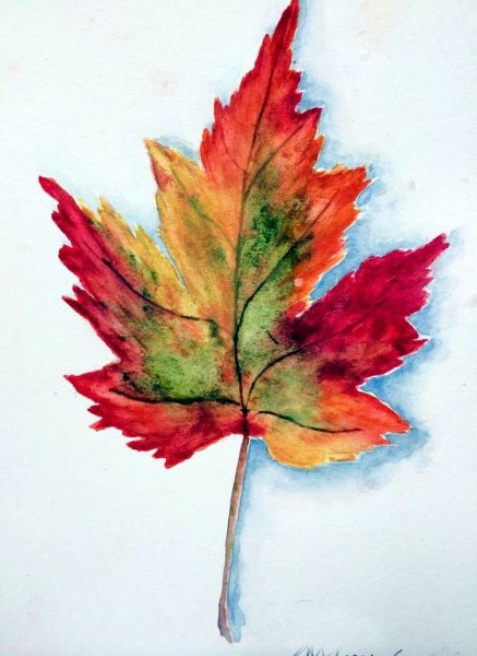 Осенние листья акварель