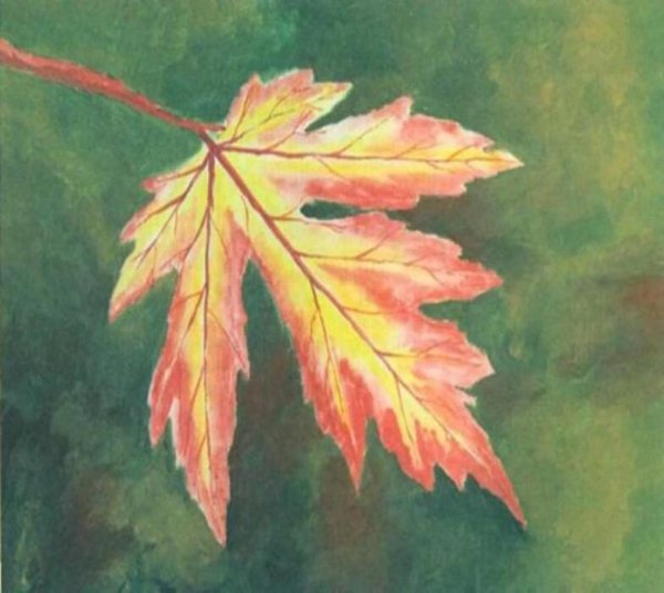 Рисование с натуры осенних листьев.