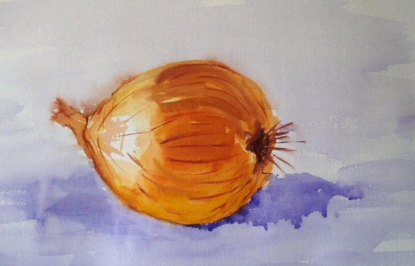 Этюды овощей и фруктов акварель лук