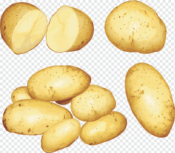 Картошка рисунок