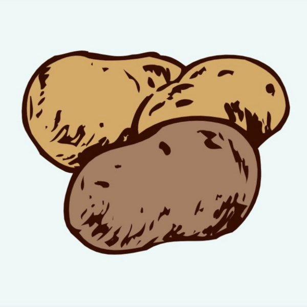 Картошка рисунок