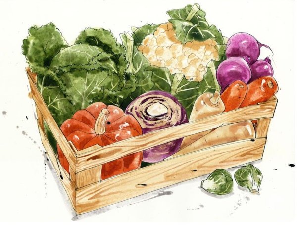 Нарисовать овощи акварелью