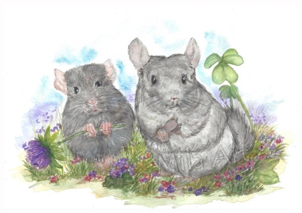 Вышивка шиншилла