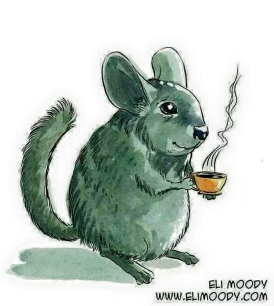 Шиншилла акварелью