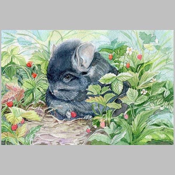 Иллюстрации Алина Сканцева