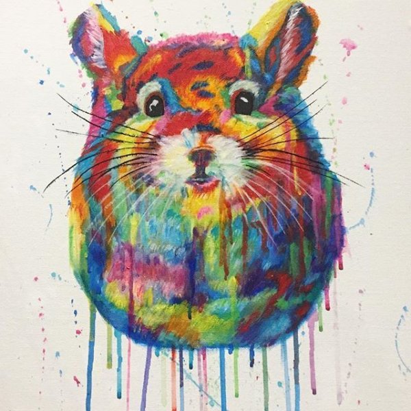 Шиншилла акварелью