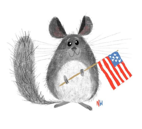 Мультяшные шиншиллы