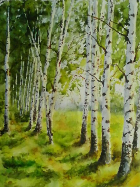 Березовая роща Алексей Епишин