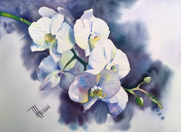 Орхидея Акварелька