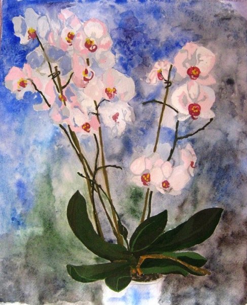 Орхидея акварелью для начинающих