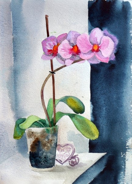 Орхидея Акварелька