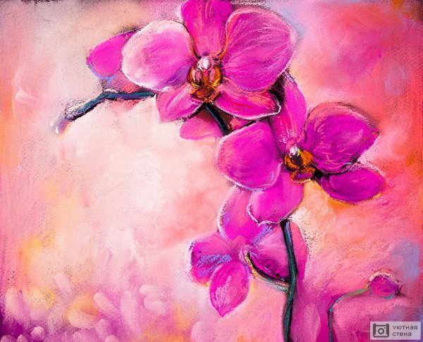 Орхидеи пастелью