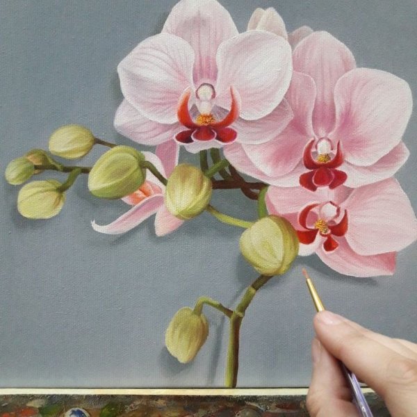 Орхидея гуашью