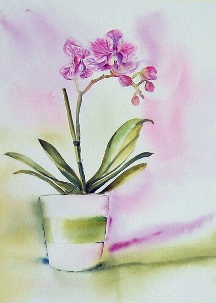 Орхидея гуашью