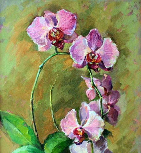 Орхидеи живопись