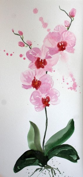 Орхидея гуашью