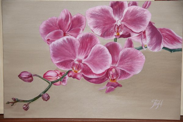 Орхидеи маслом на холсте