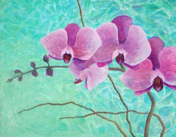 Орхидея рисовать
