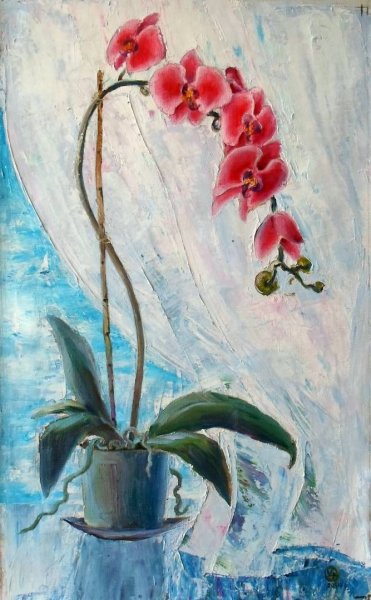 Орхидея на окне живопись
