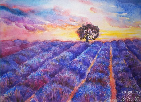 Бланка Альварес акварель Лавандовое поле