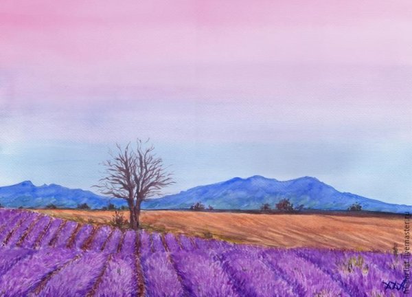 Лавандовое поле акварелью
