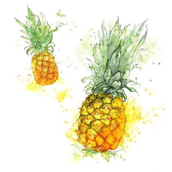 Ананас акварельный