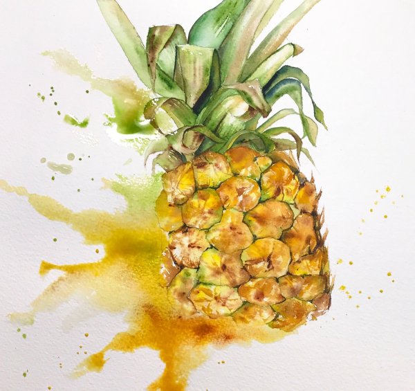 Ананас гуашью