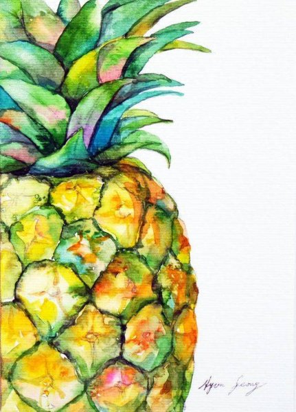 Ананас рисунок акварелью простой
