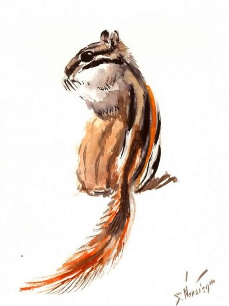 Бурундуки для рисования