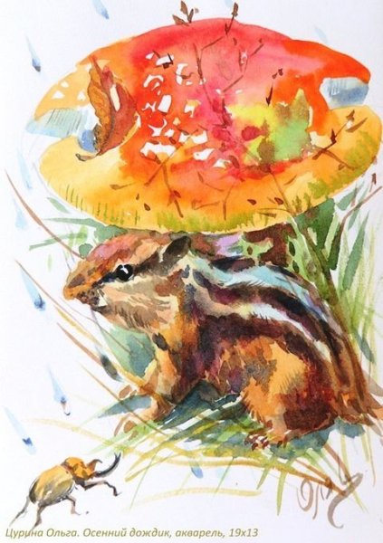 Бурундук рисунок