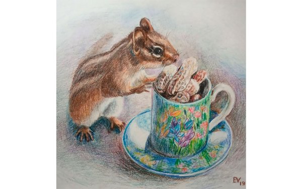 Бурундук арт