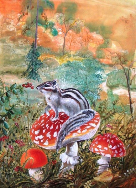 Бурундук рисунок на белом фоне